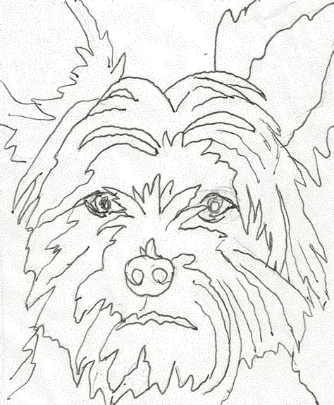yorkie drawing images     drawings