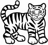 Tiger Coloring Pages Color Print Animal Animals Back sketch template