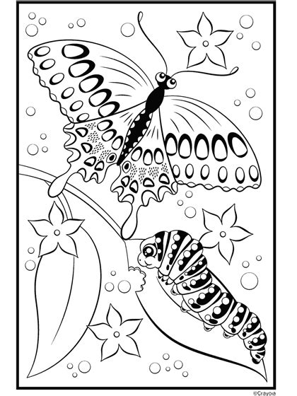 coloring pages caterpillar  butterfly