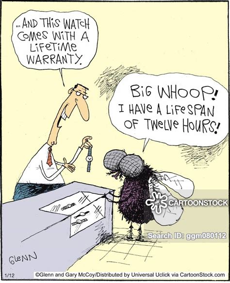 life span cartoons and comics funny pictures from cartoonstock