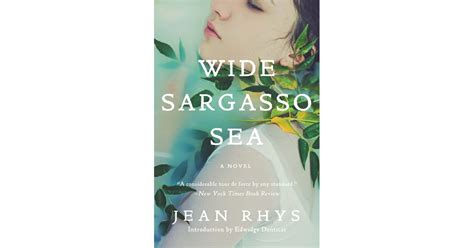 Wide Sargasso Sea By Jean Rhys Best Books By Women