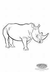 Rhino Coloring Marvel Getdrawings Getcolorings Pages Rhinoceros Baby sketch template