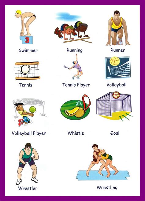 sports vocabulary  pictures