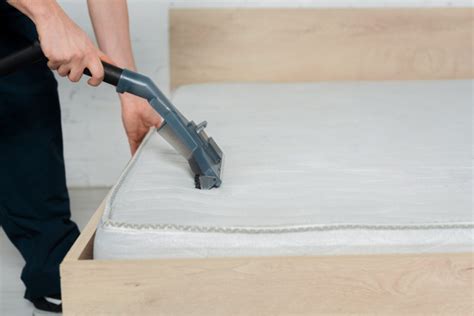 clean urine   memory foam mattress