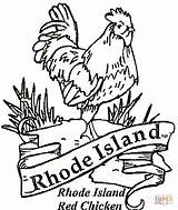 Island Red Chicken Rhode Coloring Pages Printable Template Clipart sketch template