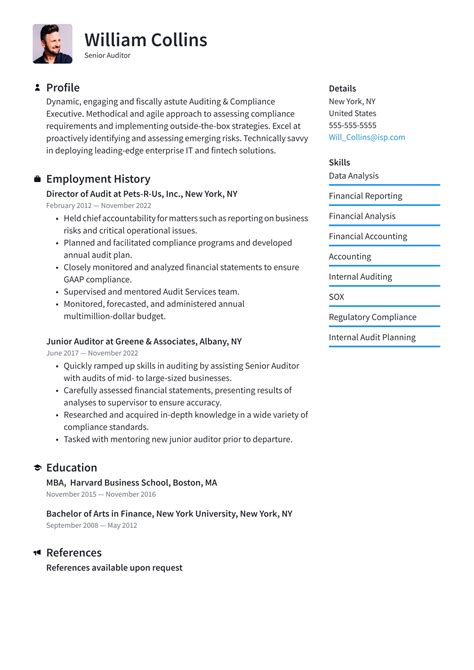 auditor resume examples writing tips  resumeio