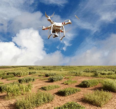 texas  agrilife researchers push drones  read  weeds texas  today