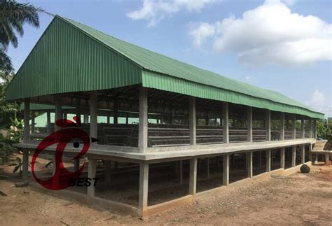 poultry house design   layer  chicken cage