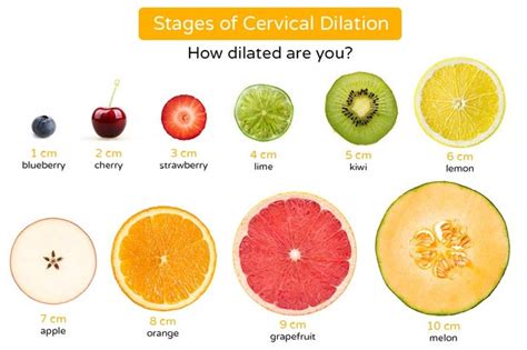 cervical dilation      long  takes madeformums