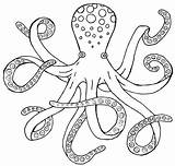 Octopus Drawing Outline Clipart Realistic Line Clip Step Drawings Cartoon Simple Cute Easy Draw Vector Cliparts Painting Coloring Kids 2010 sketch template