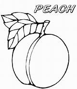 Peach sketch template