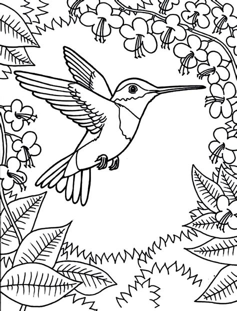 simple hummingbird coloring pages