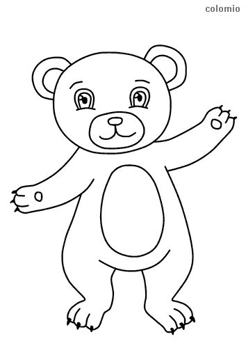 bears coloring pages  printable bear coloring sheets