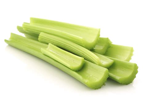 celery wwwmnftiucc