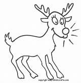 Reindeer Coloring Pages Winter Animals Kids Easy Color Animal Templates Template Printable Christmas Print Comments Timeless Miracle Outline Sheets Library sketch template