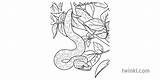 Python Eyfs Colouring Ks1 Reptile sketch template