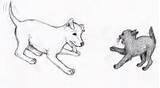 Dog Cat Drawings Cute sketch template
