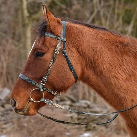 shop simple bridle  camouflage biothane  horse tack