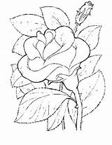 Rose Coloring Flower Pages sketch template