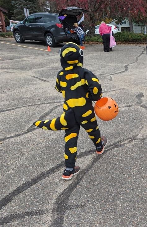 Homemade Halloween Costumes That Are Scary Cute Mpr News