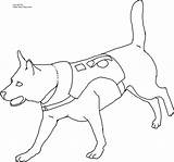 Coloring Dog Pages Police Rescue Search Drawing Color Dogs Printable Alaskan Malamute Kids Collar Clipart Colouring Drawings Sheets Easy Puppy sketch template