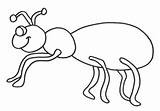 Ant Hormiga Hormigas Fourmi Formiga Ants Kolorowanki Fofinha للتلوين Owady Robaki نمله صوره Serangga Coloringpages101 Infantiles Animadas Motivo Niñas Pretende sketch template