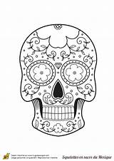 Coloriage Mexicain Mort Sucre Squelette Moustaches Tête Feuilles Colorier Tete Moustache Mexique Hugolescargot Mustache Coloriages Imprimer Skull Extraordinaire Morts Fete sketch template