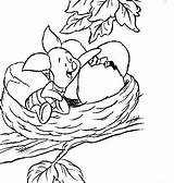 Winnie Pooh Knorretje Colorat Puuh Ferkel Planse Malvorlage Ausmalbilder Piglet sketch template
