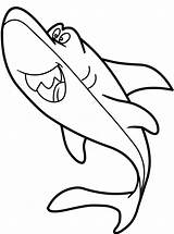 Coloring Shark Pages Baby Print sketch template