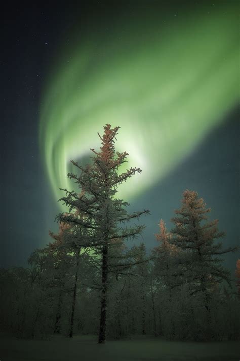 the magic of the russian north polar lights near novy
