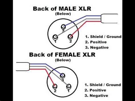 xlr female wiring diagram