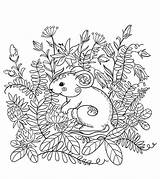 Mouse Bush Coloring Pages Categories Coloringonly sketch template