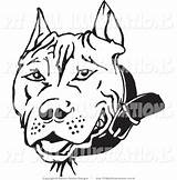 Pitbull Coloring Pages Pit Drawing Dog Bulls Bull Face Clipart Clip Elegant Wuming Cliparts Birijus Pitbulls Getdrawings Line Library sketch template
