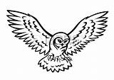Owl Flying Silhouette Drawing Clipart Outline Simple Mascot Flight Tattoo Draw Owls Wings Stencil Clipartpanda Drawings Background Snowy Line Vector sketch template