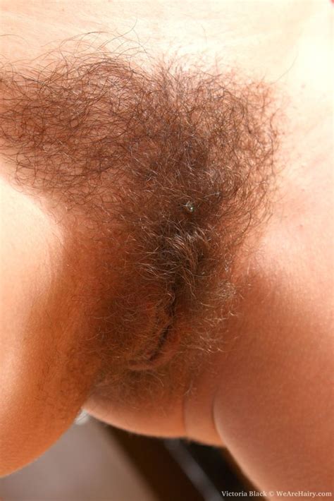 Close Up Hidden Piercing Hairy Pussy Hardcore Pictures