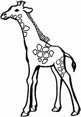 Giraffe Jirafa Punkten Wenigen Animal Giraffes Jirafas Kleurplaat Malvorlagen Clipartmag Dibujo Ausmalbild Malvorlage Coloringfolder Bestcoloringpagesforkids sketch template