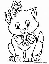 Kitten Coloring Pages Print sketch template