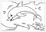 Dolfijn Kleurplaat Delfino Disegno Delfin Colorear Malvorlage Dolfijnen Kleurplaten Dauphin Golfinhos Delfines Golfinho Zum Ausmalbild Desenho Stampare раскраска море Tonina sketch template