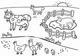 Fazendinha Colorir Fazenda Animais Bichos Bichinhos Poplembrancinhas sketch template
