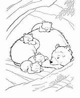 Bear Dieren Coloring Silhouetten Beertjes Slee Wilde Bos Borduurwerk Dierenrijk Hibernating Bears Berenjacht Kleuterschool Activiteiten sketch template