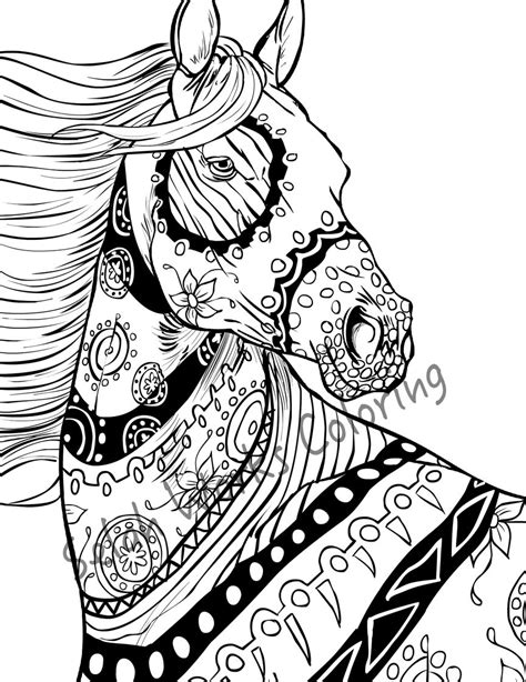 realistic horse coloring pages  adults top  printable coloring