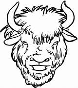 Buffalo Coloring Bison Pages Clipart Head Clip Face Yak Drawing Cheetah Wildlife Clipartmag Animals sketch template