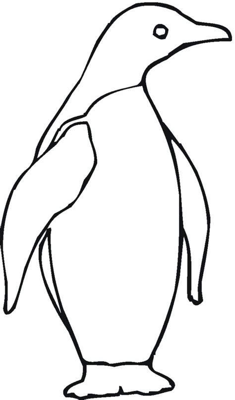 penguin coloring page  kids animal place