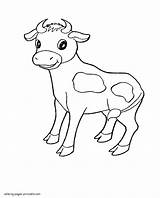 Coloring Animals Preschool Pages Cow Printable Preschoolers Toddlers Cows Print sketch template