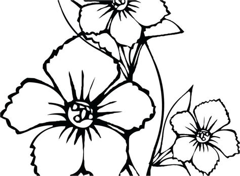 coloring pages  girls flowers  getcoloringscom  printable