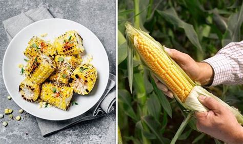 How To Cook Corn On The Cob Uk