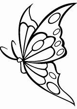 Mariposas Dibujar Plantillas Artofit sketch template