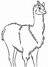 Llama Momjunction sketch template