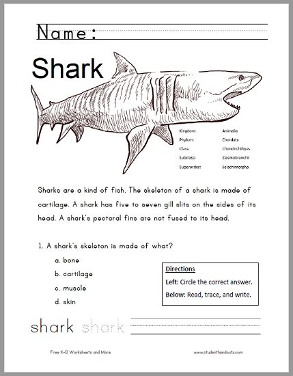 printable shark worksheet  grades