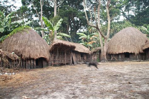 nama rumah adat papua beserta penjelasannya pengetahuan